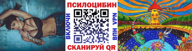 Галлюциногенные грибы мицелий где можно купить KRAKEN зеркало Берёзовка